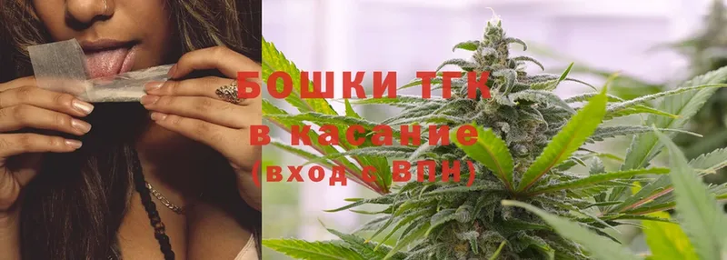 Марихуана OG Kush  Кирсанов 